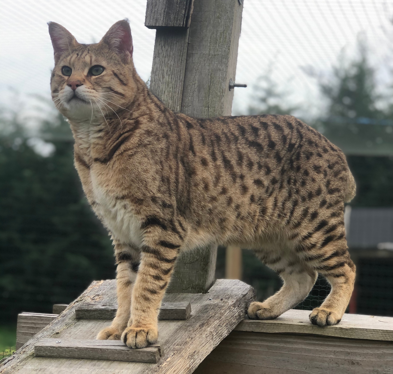 2020 12 19 15.23.29 1